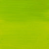 Amsterdam Standard Series Acrylic 500 ml - Culoare:: Yellowish Green