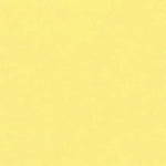 Culori vinilice Polycolor Maimeri 140ml - PinoArt
