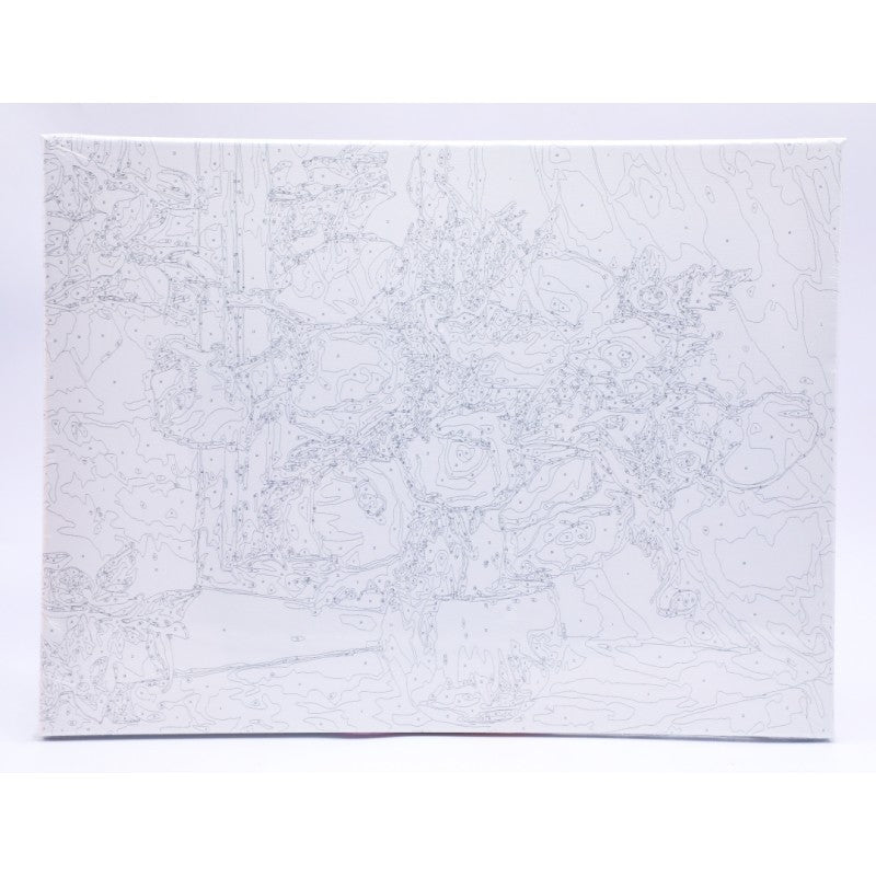 Panza Pictura Pe Numere 30X40CM Daco - PinoArt