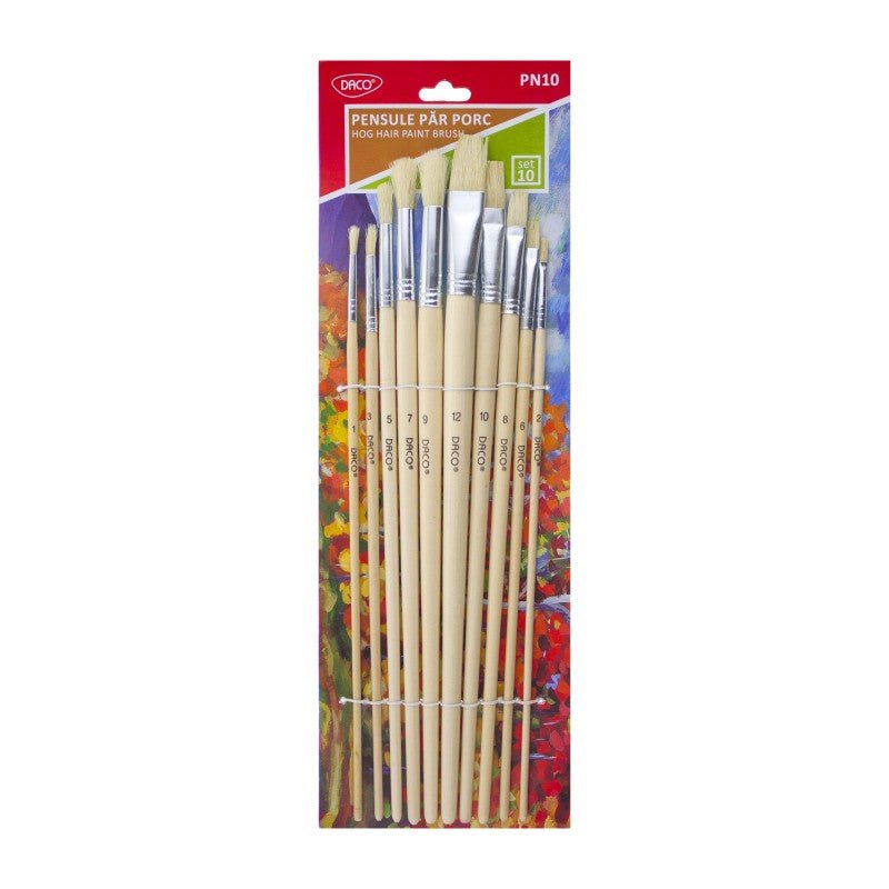 Pensula Set 10 Par Porc Daco - PinoArt